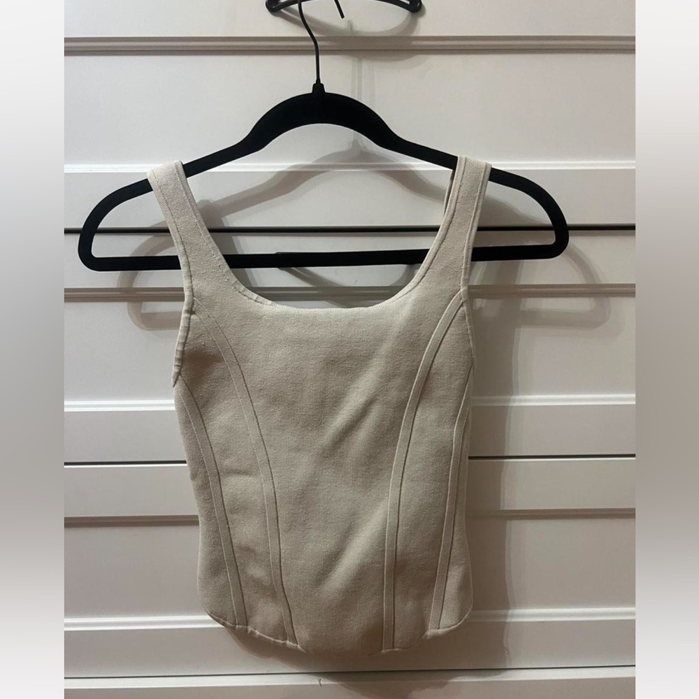 aritzia babaton corset
